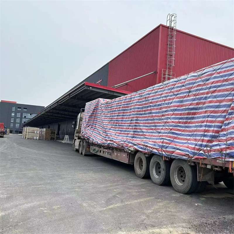 长乐区渝中区物流：多元服务与运输线路探秘