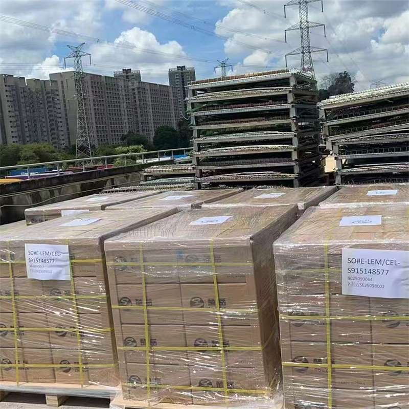长乐区探索高陵区进仓物流专线运输的多元世界